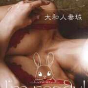 ヒメ日記 2026/02/20 11:52 投稿 ともか 大和人妻城