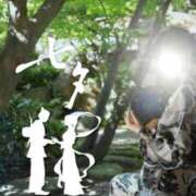 ヒメ日記 2026/07/07 12:20 投稿 ともか 大和人妻城