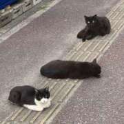 まおみ もうすぐ晴れるね…まおみとイチャイチャしよ？💕 千葉中央人妻援護会