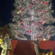 ヒメ日記 2025/12/25 16:41 投稿 かんな eroina