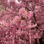 ヒメ日記 2026/03/09 14:42 投稿 かんな eroina