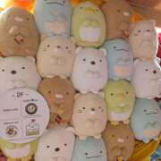 ヒメ日記 2025/12/21 20:21 投稿 すみれ パイの巣