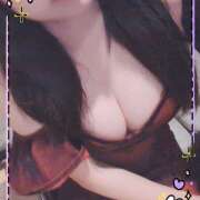 ヒメ日記 2025/12/28 21:30 投稿 すみれ パイの巣