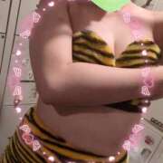 ヒメ日記 2026/02/03 20:46 投稿 すみれ パイの巣