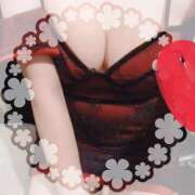 ヒメ日記 2026/02/07 21:16 投稿 すみれ パイの巣