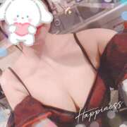 ヒメ日記 2026/03/06 19:45 投稿 すみれ パイの巣