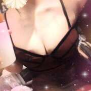 ヒメ日記 2026/03/14 21:20 投稿 すみれ パイの巣