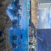 にこ [お題]from:下痢するってよさん OPフルコース