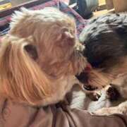 ツバキ★仙南限定 サプライズリピーターさん♡ 人妻生レンタル