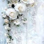 ヒメ日記 2025/12/22 09:51 投稿 純白 桜 30代40代50代と遊ぶなら博多人妻専科24時