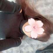 純白 桜 あけましておめでとうございます 30代40代50代と遊ぶなら博多人妻専科24時