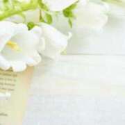 純白 桜 ありがとうございました 30代40代50代と遊ぶなら博多人妻専科24時