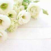 純白 桜 【お礼写メ日記】 30代40代50代と遊ぶなら博多人妻専科24時