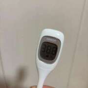 ヒメ日記 2025/12/23 10:38 投稿 一ノ瀬つき ウルトラロイヤル