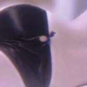 ヒメ日記 2026/02/01 12:25 投稿 さくらこ ぷるるんマダム 難波店