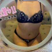 ヒメ日記 2026/02/23 15:15 投稿 さくらこ ぷるるんマダム 難波店