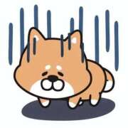 ヒメ日記 2026/05/06 14:25 投稿 さくらこ ぷるるんマダム 難波店