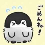 ヒメ日記 2026/05/18 19:05 投稿 さくらこ ぷるるんマダム 難波店