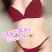 ヒメ日記 2026/06/13 09:55 投稿 さくらこ ぷるるんマダム 難波店