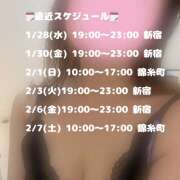 ヒメ日記 2026/01/27 14:20 投稿 星月ゆの 癒しのマダム