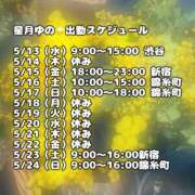 ヒメ日記 2026/05/13 02:23 投稿 星月ゆの 癒しのマダム