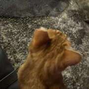 ヒメ日記 2025/12/14 23:36 投稿 芽衣 おとなのわいせつ倶楽部 池袋店