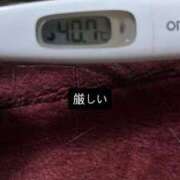 ヒメ日記 2025/12/20 17:14 投稿 芽衣 おとなのわいせつ倶楽部 池袋店