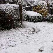 ヒメ日記 2026/01/02 12:05 投稿 きい ぐっすり山田　福岡店