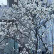 ヒメ日記 2026/03/15 04:05 投稿 きい ぐっすり山田　福岡店