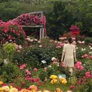 ヒメ日記 2026/03/18 19:45 投稿 きい ぐっすり山田　福岡店