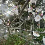 ヒメ日記 2026/03/29 20:35 投稿 きい ぐっすり山田　福岡店