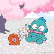 ヒメ日記 2026/04/11 01:20 投稿 小倉ほの【優等生】 素人専門　街角レディ