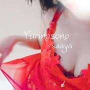 ヒメ日記 2026/02/14 10:25 投稿 咲彩(さあや) 人妻出逢い会 百合の園 山の手本店