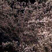 みあ 本日います🎶 見学娘