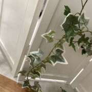 ヒメ日記 2025/12/15 00:18 投稿 一華（いちか） 東金人妻花壇