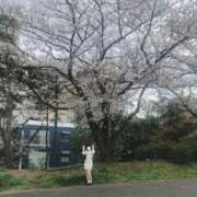 ヒメ日記 2026/03/30 16:52 投稿 みなみ 横浜コスプレデビュー（シンデレラグループ）