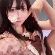 ここあ 久しぶり日記🐱 NEO不夜城