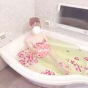 せれん 🌸3月も🌸 One More奥様　横浜関内店