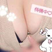 ヒメ日記 2026/01/25 18:29 投稿 まきの 鹿児島ちゃんこ霧島店