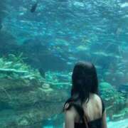 ヒメ日記 2025/12/23 12:25 投稿 るる IRIS(岐阜)