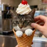 ヒメ日記 2026/02/19 10:46 投稿 愛華(アイカ) アバンチュール(五反田)