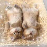 ヒメ日記 2026/07/01 21:31 投稿 愛華（アイカ） アバンチュール(五反田)