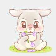 ヒメ日記 2025/12/16 13:46 投稿 月城みつは ABC 岩手ソープ