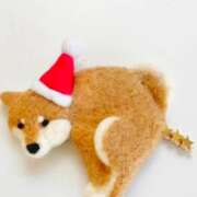 ヒメ日記 2025/12/24 12:16 投稿 月城みつは ABC 岩手ソープ