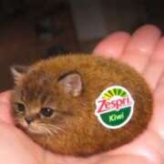 ヒメ日記 2026/01/03 08:01 投稿 月城みつは ABC 岩手ソープ