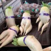 ヒメ日記 2026/01/18 23:16 投稿 月城みつは ABC 岩手ソープ