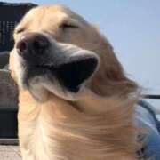 ヒメ日記 2026/02/15 22:31 投稿 月城みつは ABC 岩手ソープ