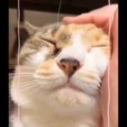 ヒメ日記 2026/02/17 12:46 投稿 月城みつは ABC 岩手ソープ