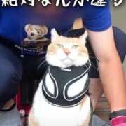 ヒメ日記 2026/02/24 06:31 投稿 月城みつは ABC 岩手ソープ