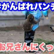 ヒメ日記 2026/03/11 12:16 投稿 月城みつは ABC 岩手ソープ